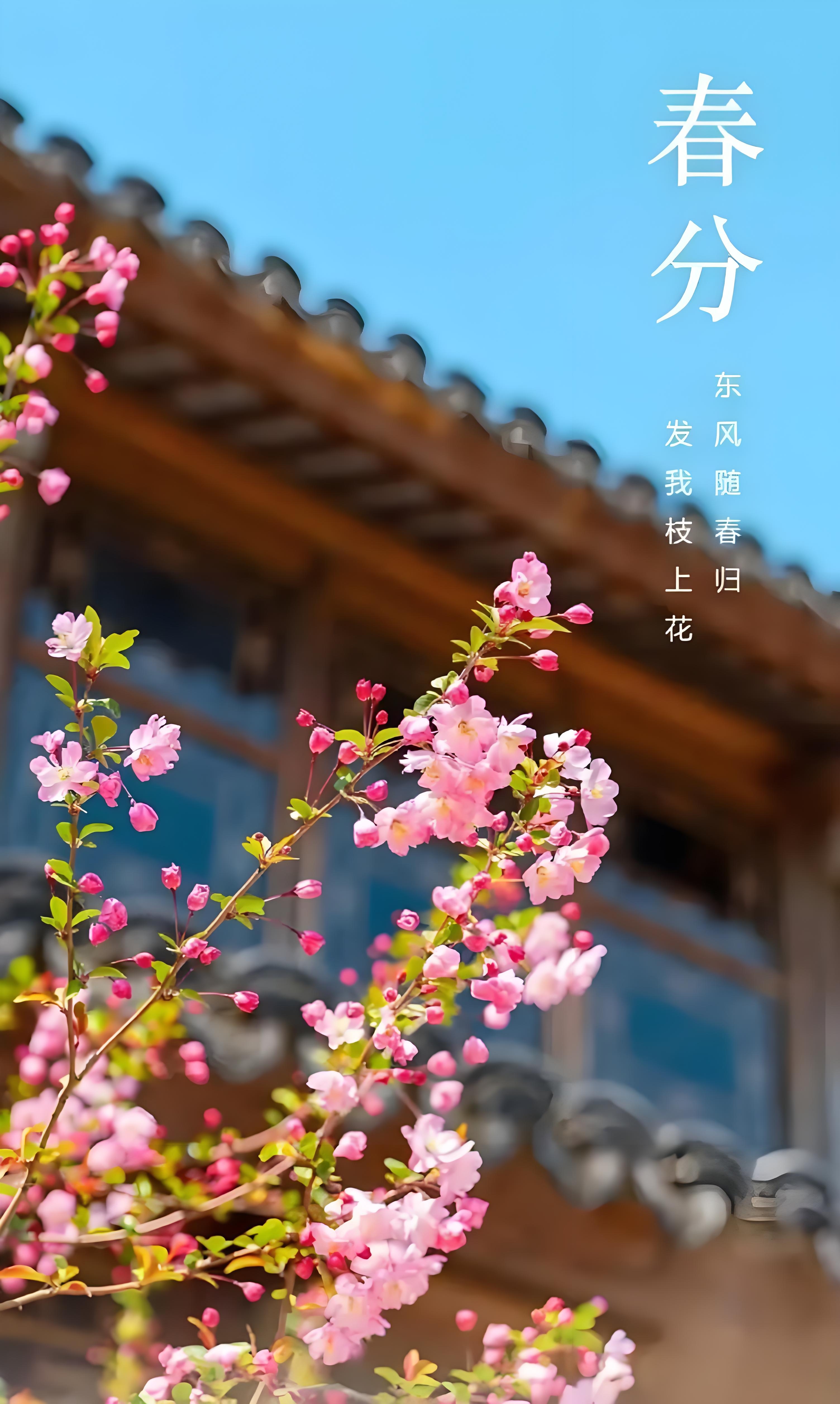 春风解人意，时光不负你